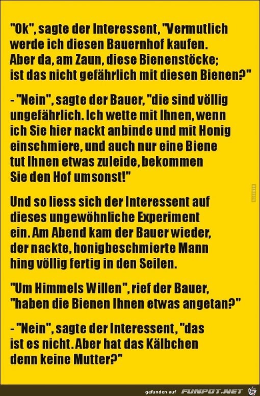 aber da, am Zaun, diese Bienenstcke.......