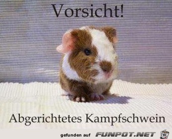 Gefährlich Gefährlich