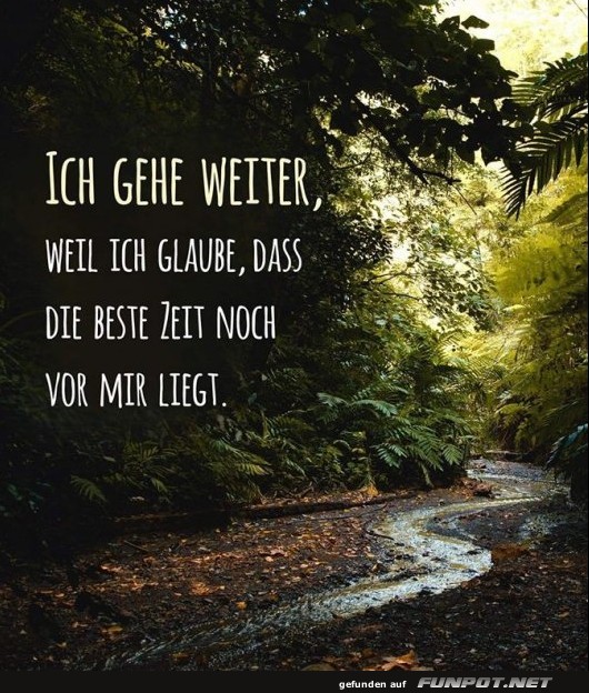 10 sch�ne Spr�che und Lebensweisheiten aus...