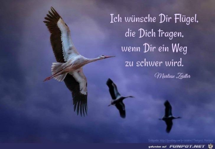 ich wuensche dir Fluegel ich wuensche dir Fluegel