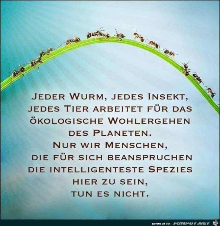 jeder wurm