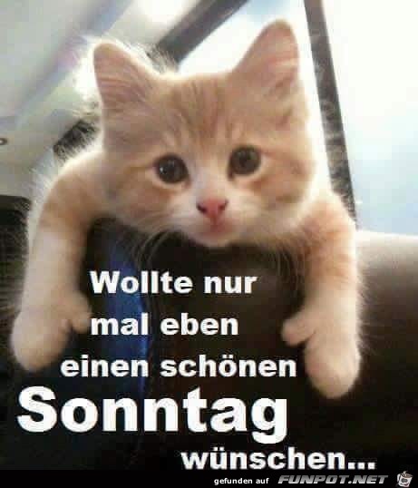 schönen Sonntag schönen Sonntag
