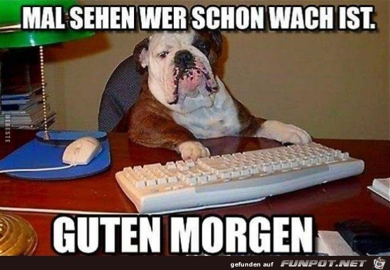 Guten Morgen.... Guten Morgen....
