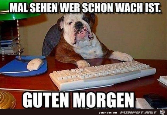 Guten Morgen....