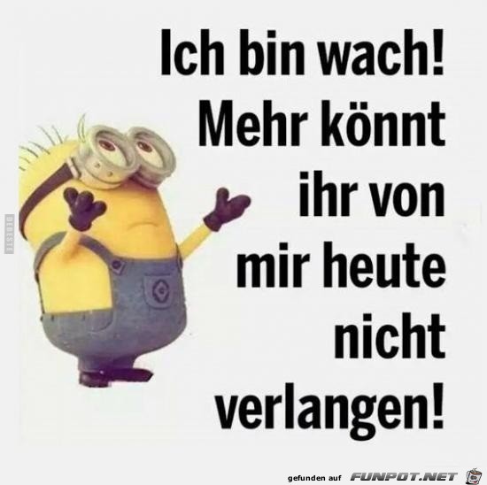 ich bin wach!.....