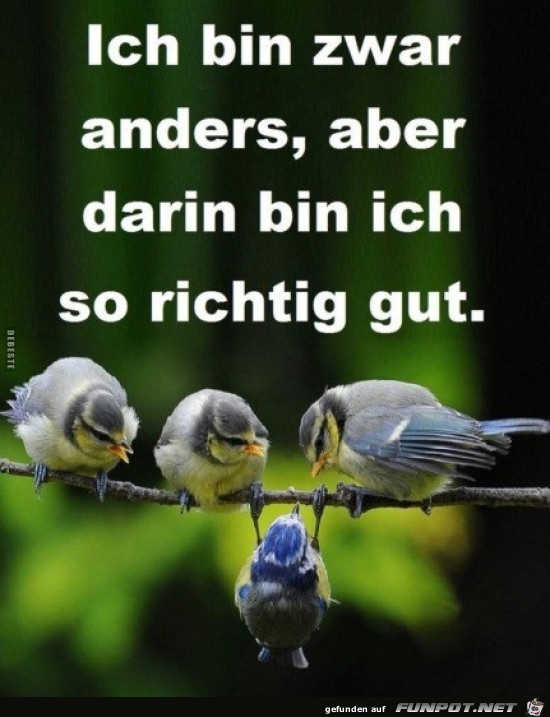 ich bin zwar anders, aber...... ich bin zwar anders, aber......