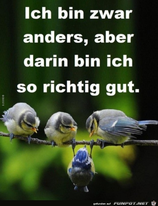 ich bin zwar anders, aber......