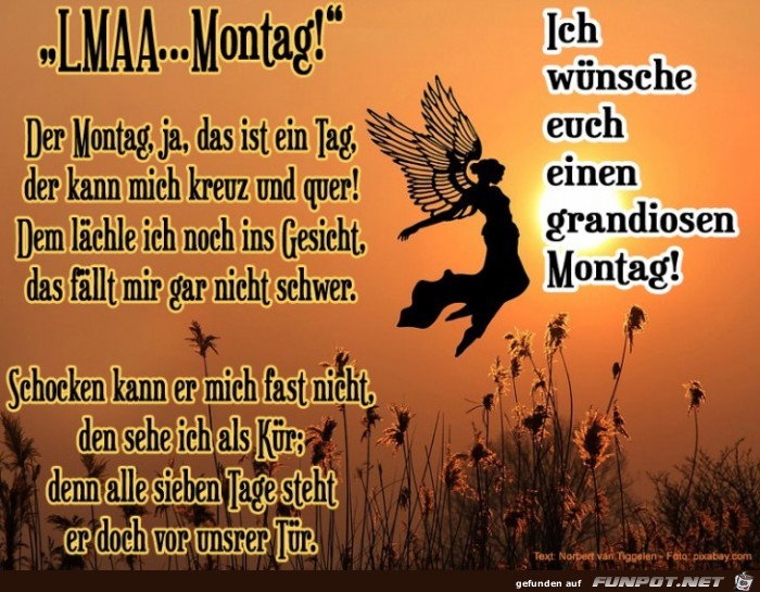 LMAA-Montag 2019 LMAA-Montag 2019