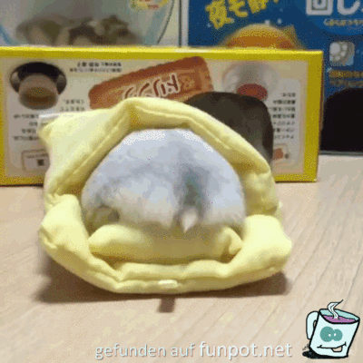 Super Versteck Super Versteck