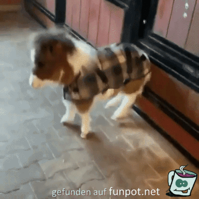 Wie putzig Wie putzig