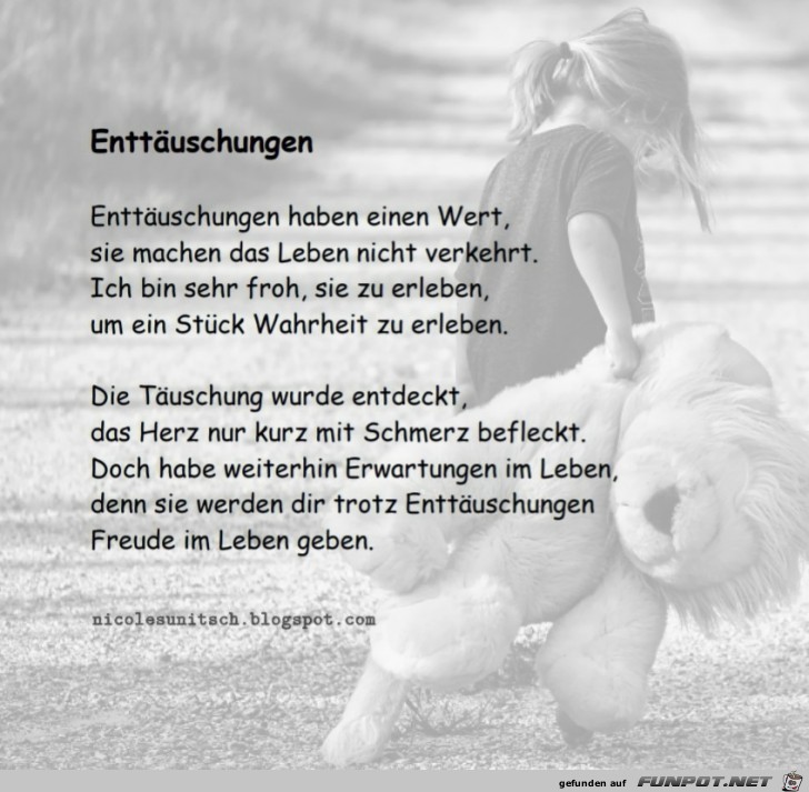 Enttuschungen - Gedicht von Nicole Sunitsch