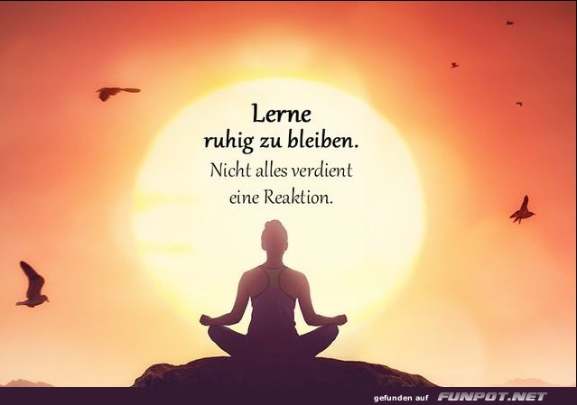 10 sch�ne Spr�che und Lebensweisheiten aus...