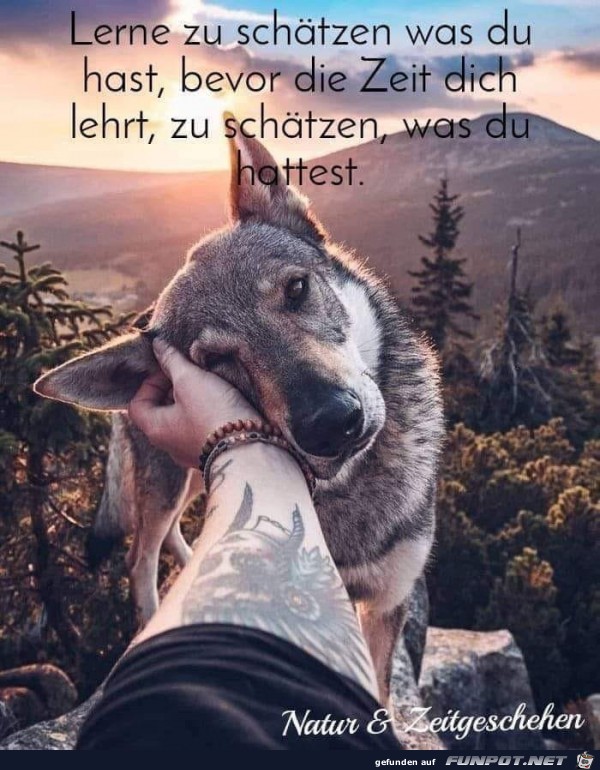 lerne zu schaetzen