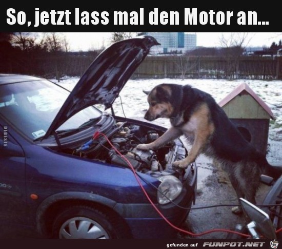 so, jetzt lass mal den Motor an.........