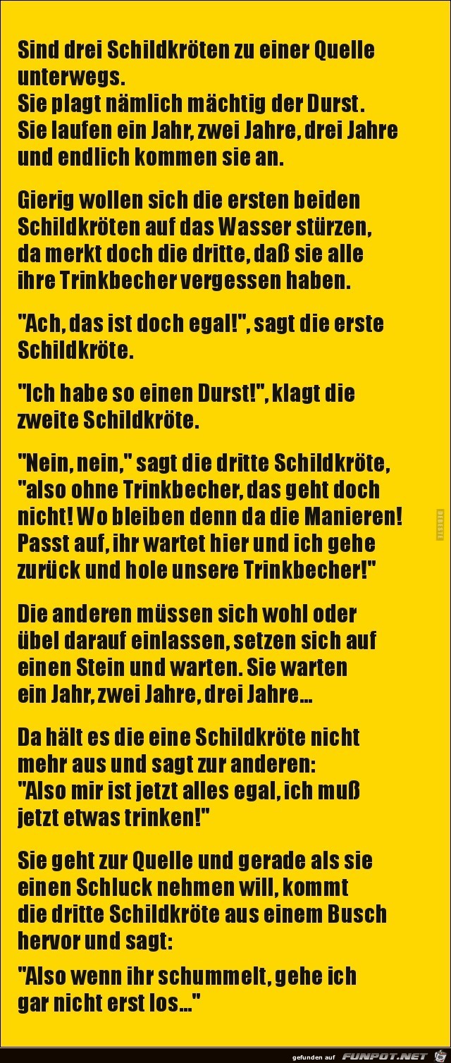 drei Schildkröten zu einer Quelle unterwegs,...... drei Schildkröten zu einer Quelle unterwegs,......