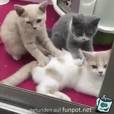So lässt es sich aushalten So lässt es sich aushalten