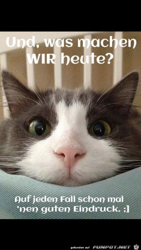 Und was machen wir heute Und was machen wir heute
