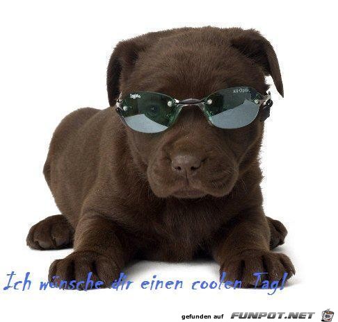 Einen coolen Tag