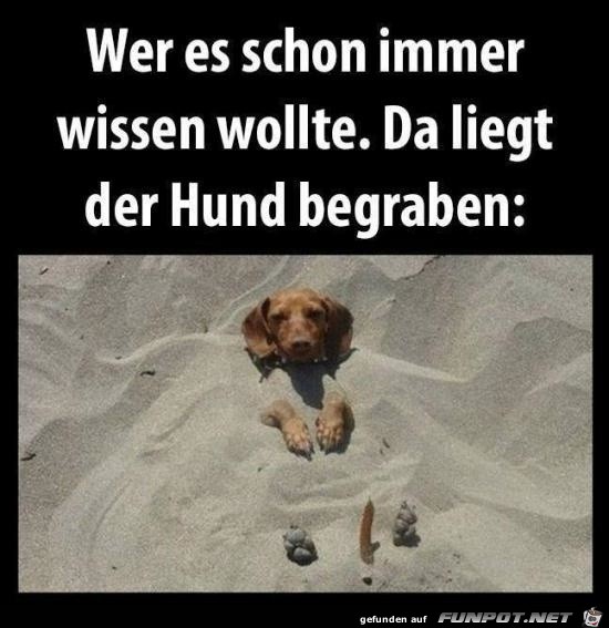 Wer es schon immer wissen wollt