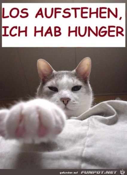 Steh auf Steh auf