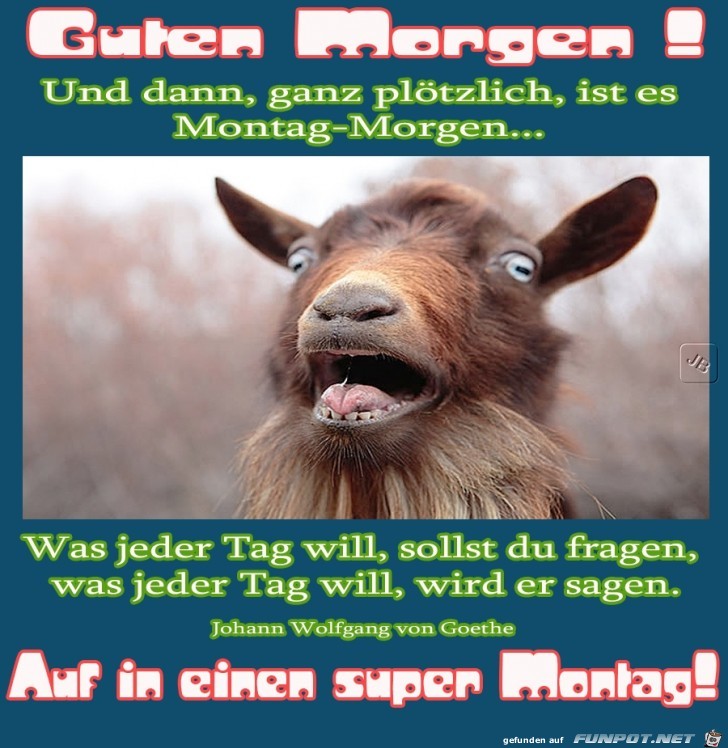 Montag