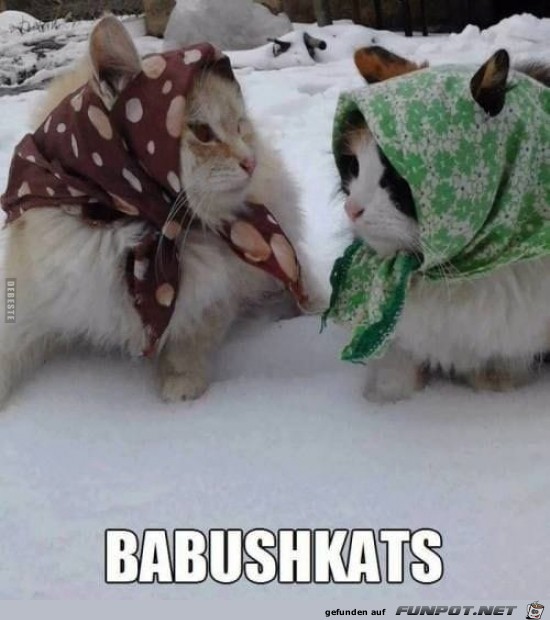 Babushkats..........