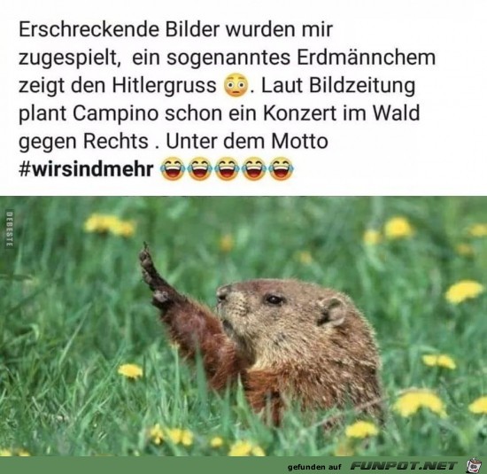 wir sind mehr........ wir sind mehr........