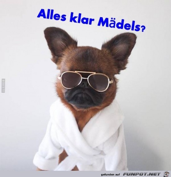 alles klar Mädels?....... alles klar Mädels?.......
