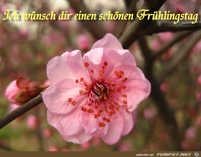Schoenen Fruehlingstag Schoenen Fruehlingstag