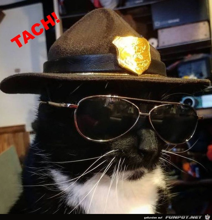 Tach Tach
