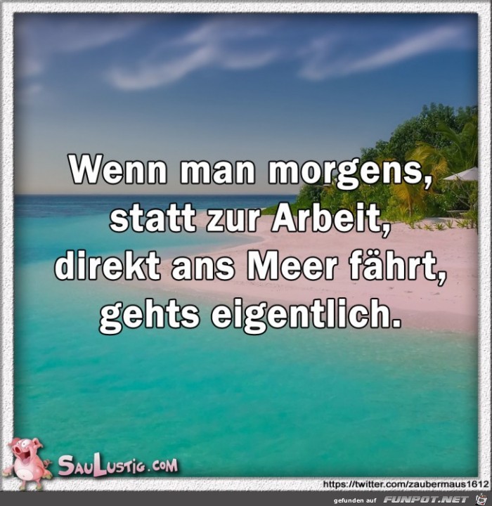 Wenn-man-morgens-ans-Meer-faehrt