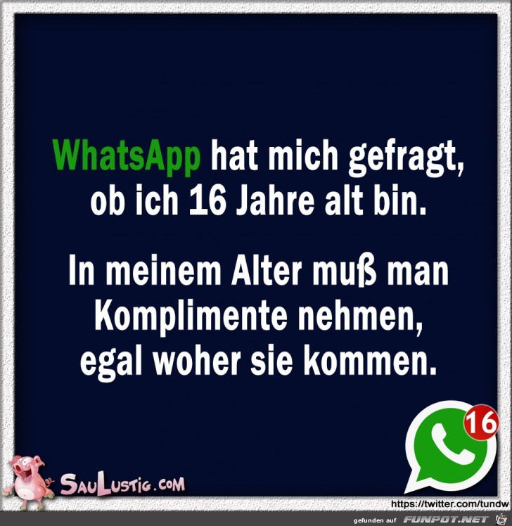 WhatsApp-hat-mich-gefragt