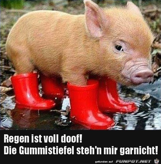 Regen ist voll doof!.......