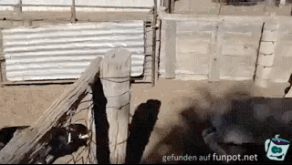 Da renn ich kurz drüber Da renn ich kurz drüber