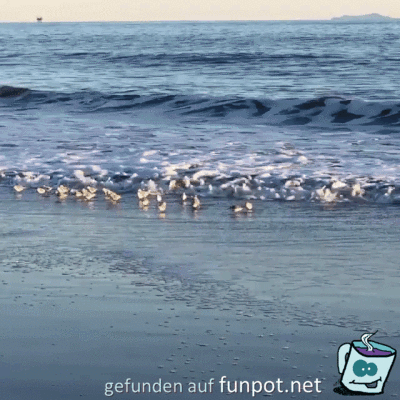 Schnell wieder weg Schnell wieder weg