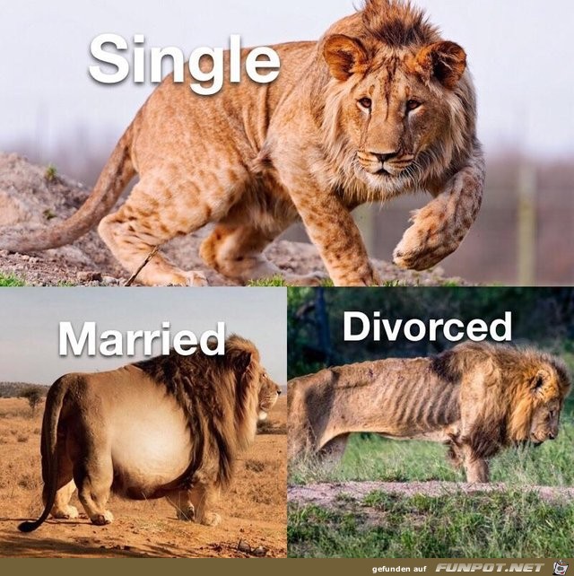 Wie böse Wie böse