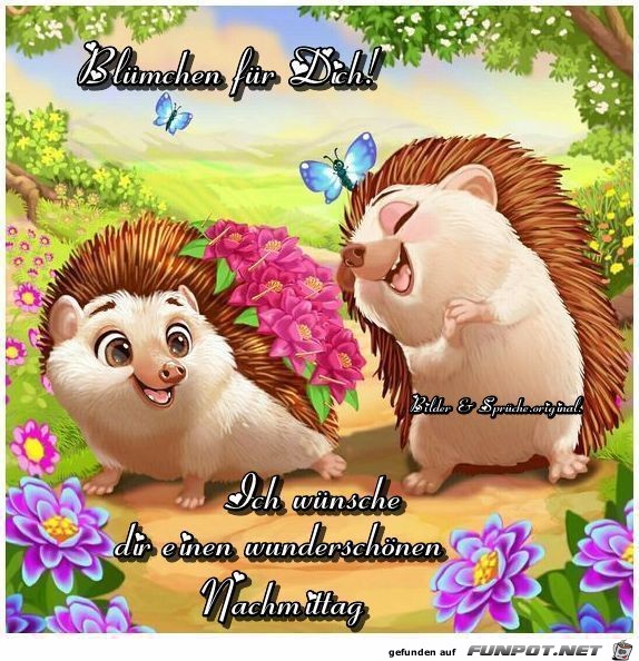 Bluemchen fuer dich Bluemchen fuer dich