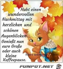 Habt einen wundervollen Nachmittag Habt einen wundervollen Nachmittag