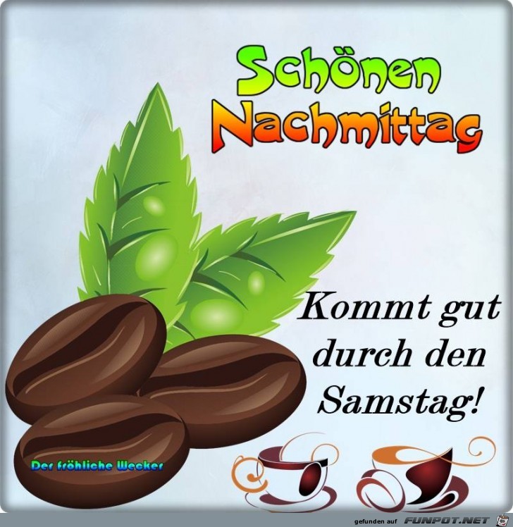 Schoenen Nachmittag Schoenen Nachmittag