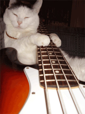 Virtuose auf der Gitarre Virtuose auf der Gitarre