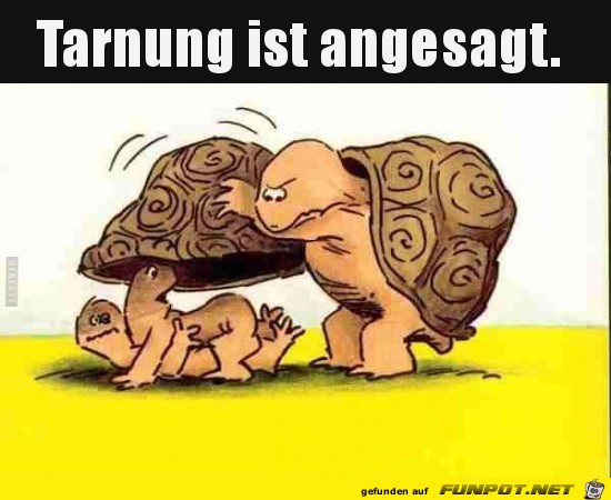 Tarnung ist angesagt.......