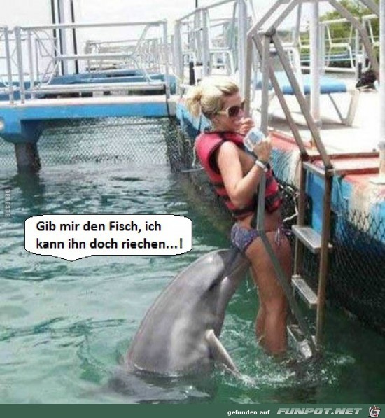 gib mir den Fisch,.......