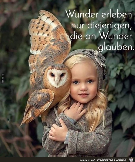 wunder erleben nur diejenigen......... wunder erleben nur diejenigen.........