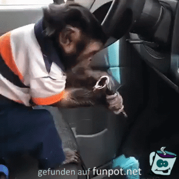 Der geht nicht rein Der geht nicht rein