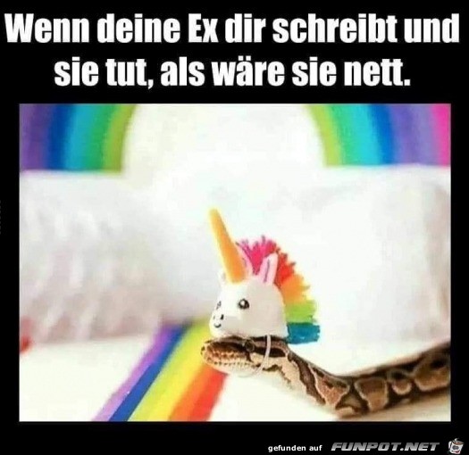 Deine Ex Deine Ex