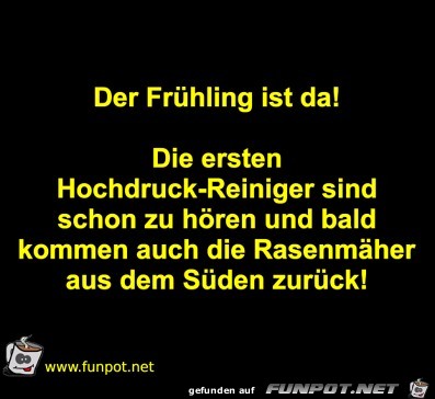 Frühling Frühling