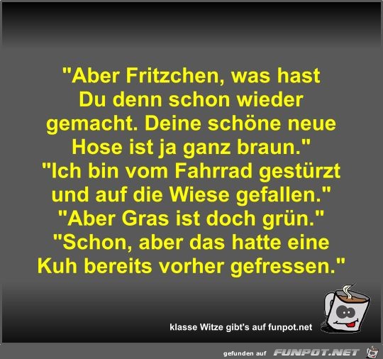 Aber Fritzchen, was hast Du denn schon wieder gemacht Aber Fritzchen, was hast Du denn schon wieder gemacht