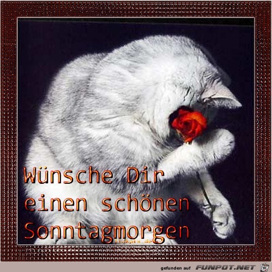Wuensch dir einen schoenen Sonntag Wuensch dir einen schoenen Sonntag