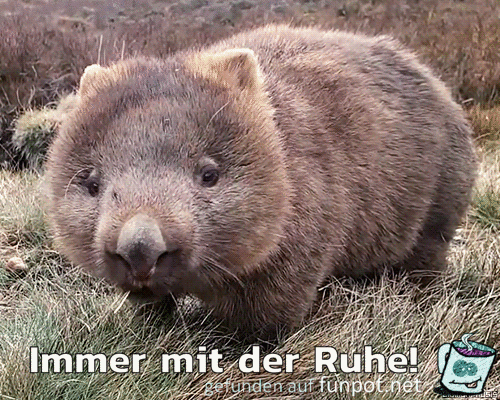Immer mit der Ruhe Immer mit der Ruhe