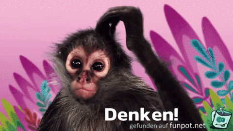 Denken Denken